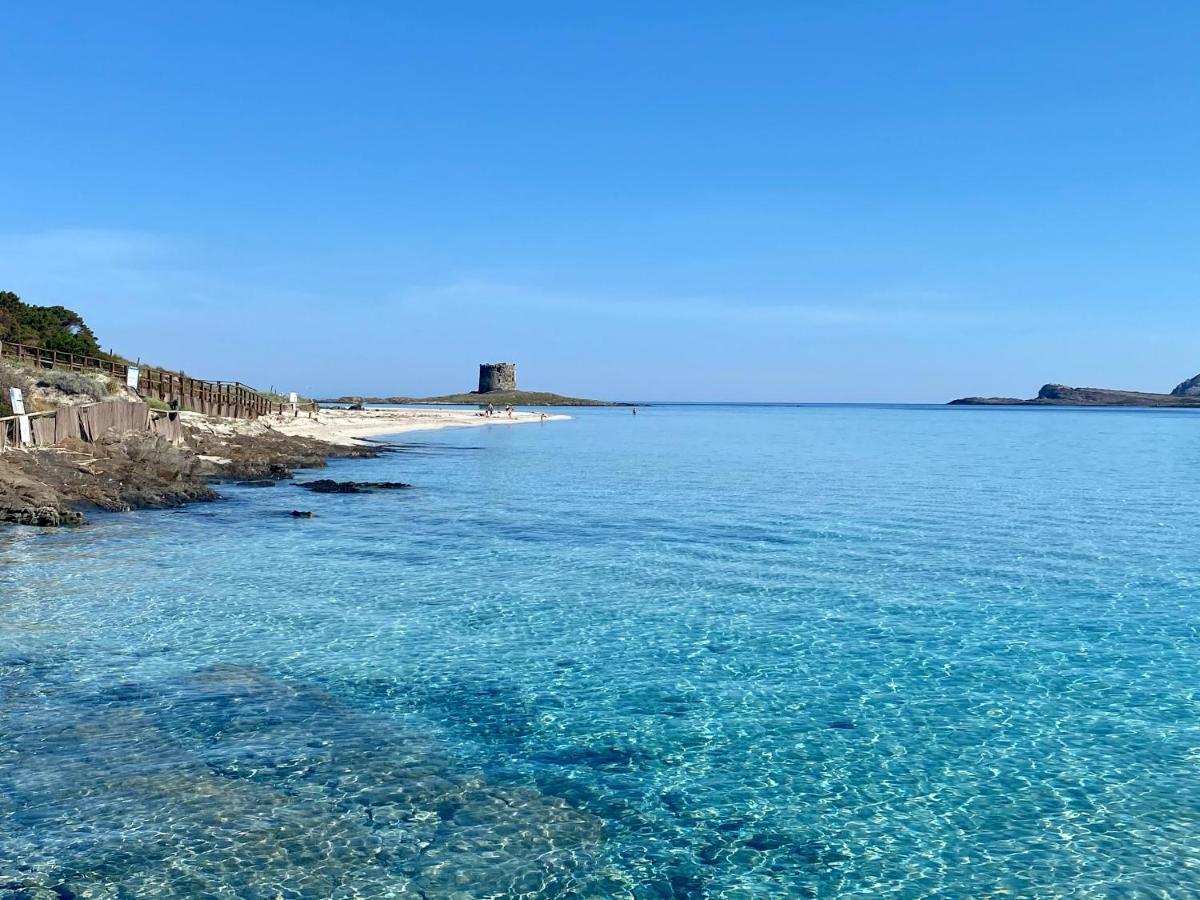 Apartamento All'Ombra Dei Pini - Casa Vacanze Pet Friendly Marina di Sorso Exterior foto