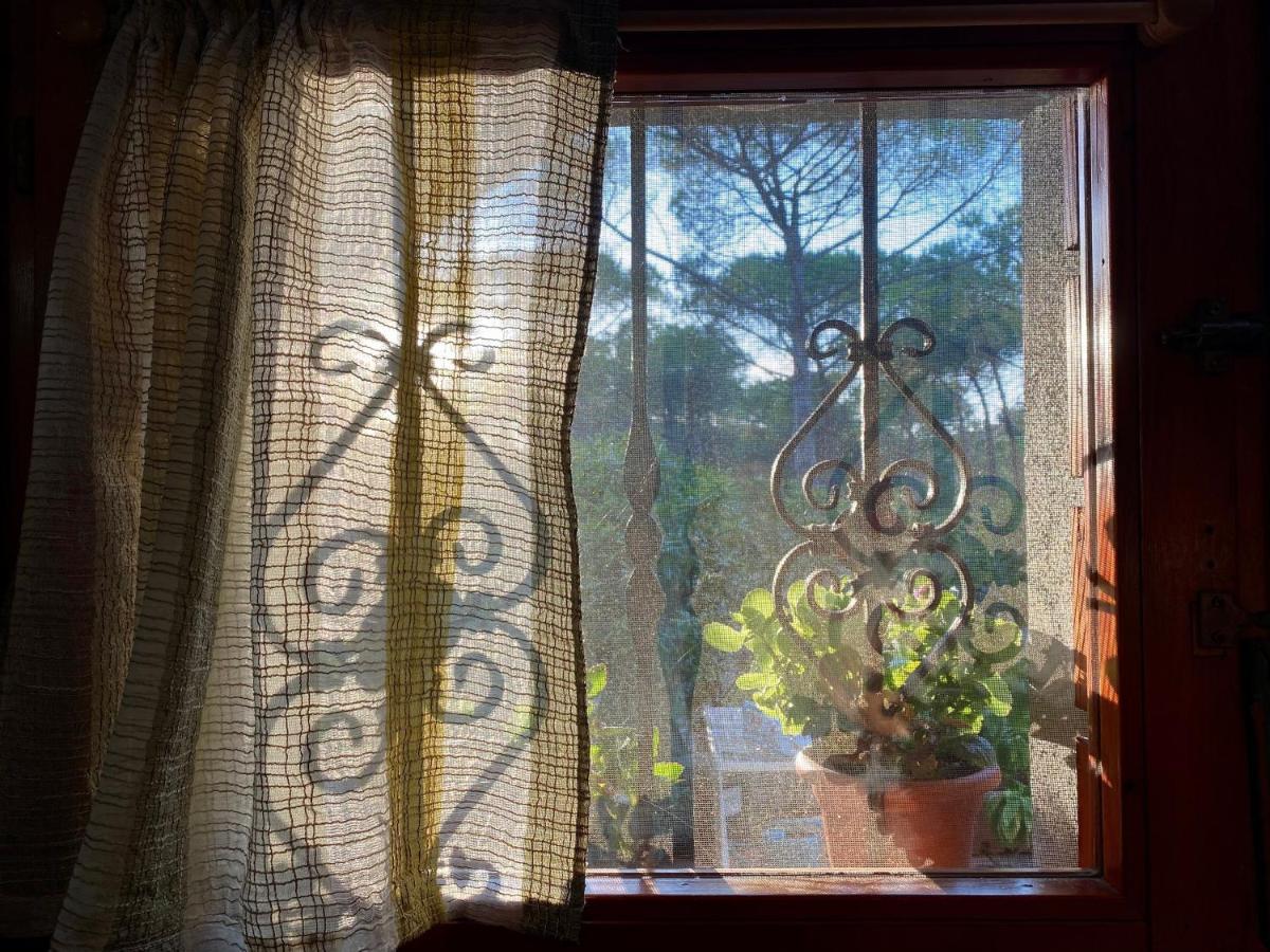 Apartamento All'Ombra Dei Pini - Casa Vacanze Pet Friendly Marina di Sorso Exterior foto